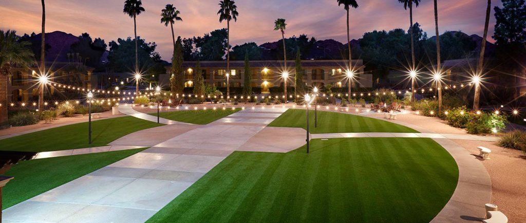 commercial turf for sale