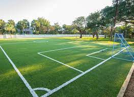 athletic field turf
